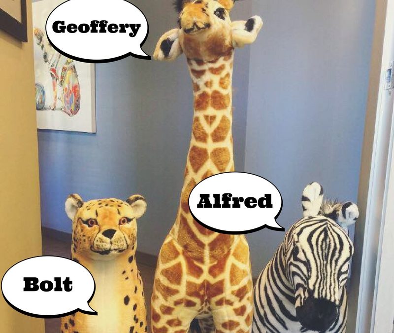 HELLO, MY NAME IS: BOLT, GEOFFERY, AND ALFRED!